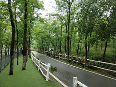 -大连铭湖国际观光牧场