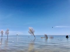 -青海湖二郎剑景区