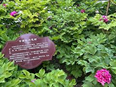 -太阳宫公园