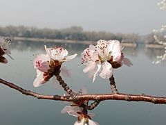 -颐和园