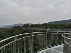 -呀诺达热带雨林