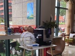 -土豆口腔(凤凰北总店)