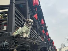 -葑门横街