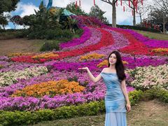 -东莞植物园
