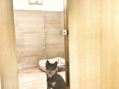 -Double Rui宠物酒店