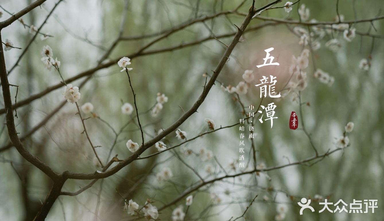济南三月赏花指南丨五龙潭