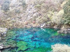 -叠溪松坪沟景区