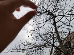 -广东金融学院(校本部)
