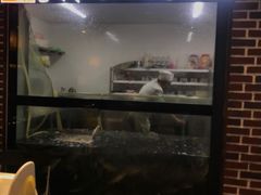 -肥鱼屯活鱼锅(惠工街店)