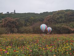 -苏州上方山国家森林公园
