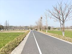 -良渚古城遗址公园