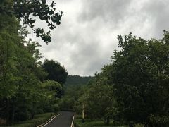 -羡餐厅·杭帮菜·淳菜(千岛湖自由洲际殿店)