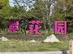-阳澄湖半岛旅游度假区