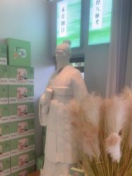 -阅年轻·AI家庭健康体质调理