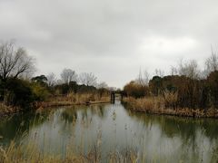 -梁鸿国家湿地公园