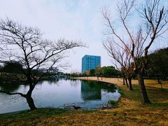 -同济大学(嘉定校区)