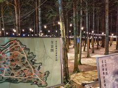 -重庆睡佛山森林公园
