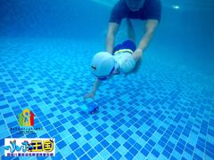 -小小王国亲子游泳俱乐部(锦辉中心)