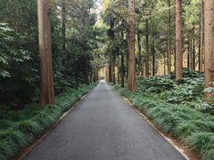 -上海怡沁园度假酒店