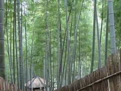 -四明山国家森林公园
