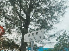 -西涌国际滨海旅游区