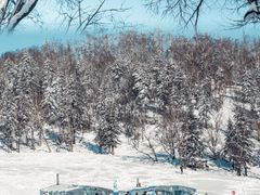 -雪谷