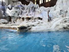 -帝企鹅自助餐厅•儿童岛•真企鹅(长隆企鹅酒店)