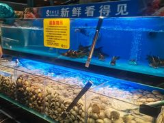 -苏格里岛自助海鲜烤肉(青秀万达店)