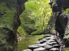 -牛背梁国家森林公园