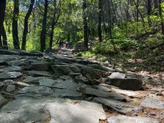 -阳台山自然风景区