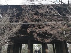 -醍醐寺