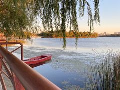 -长春市南湖公园