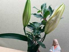 -有马温泉 竹取亭円山温泉旅馆