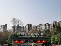 -洋湖国家湿地公园