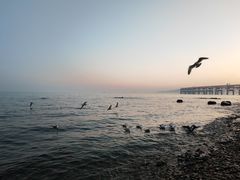-银沙滩浴场