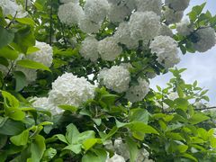 -湖南烈士公园-停车场