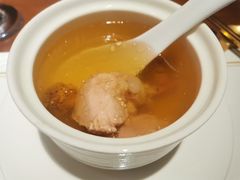 -觀芷隐轩