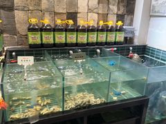 -黄山老妈·土菜(碧桂园店)