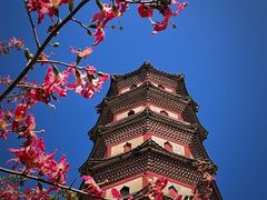 -广州莲花山旅游区