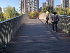 -南翔镇银翔湖公园