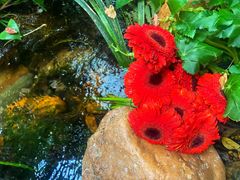 -The Flowers Coffee(南山店)
