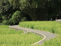 -龙头寺公园