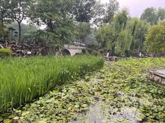 -莲湖公园
