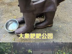 -大象粑粑造纸公园