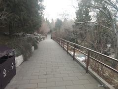 景点-景山公园
