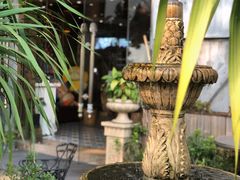 -more than meow吴止猫主题餐厅(承德 中船汇店)