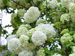 -大龙山(地铁站)