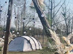 -佛手湖郊野公园