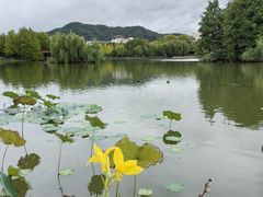 -浙江农林大学(东湖校区)