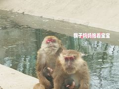 -大青山野生动物园